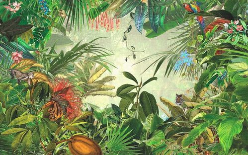 Tropical Jungle n.29981